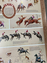 Load image into Gallery viewer, Vintage 1981 Wrangler Professional Rodeo Cowboys Association Big Poster (24x37inch)