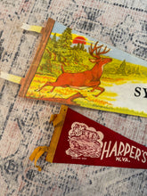 Load image into Gallery viewer, Lot of 2 Vintage Pennants - Syracuse and Harpers Ferry