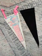 Load image into Gallery viewer, Lot of 2 Vintage Canada Pennants
