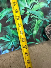 Load image into Gallery viewer, Vintage 1999 B*Witched Awake and Breathe Album Poster (24x24)
