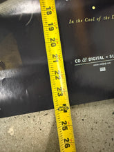 Load image into Gallery viewer, 2000s Daniel Martin Moore In The Cool of the Day Album Promo Poster (18x24)
