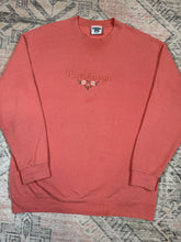 Load image into Gallery viewer, Vintage 90s Pink Pittsburgh Embroidered Crewneck (L)

